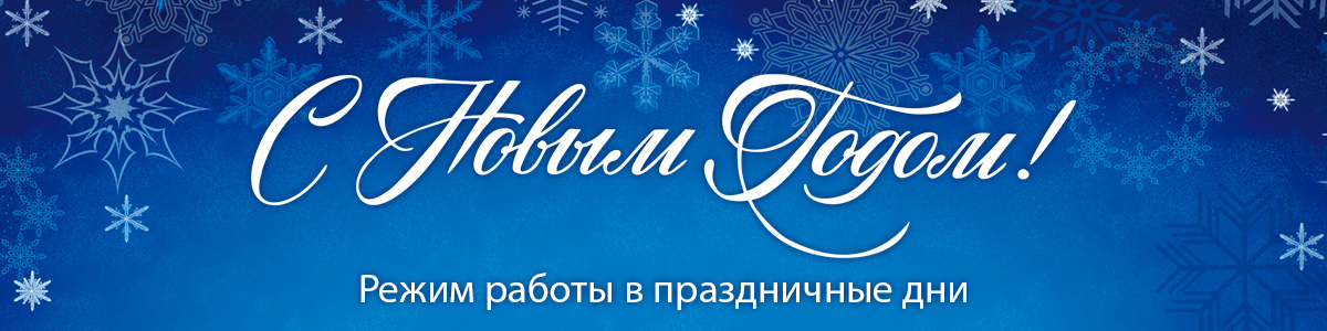 баннер на сайты с новым годом1200х300.jpg