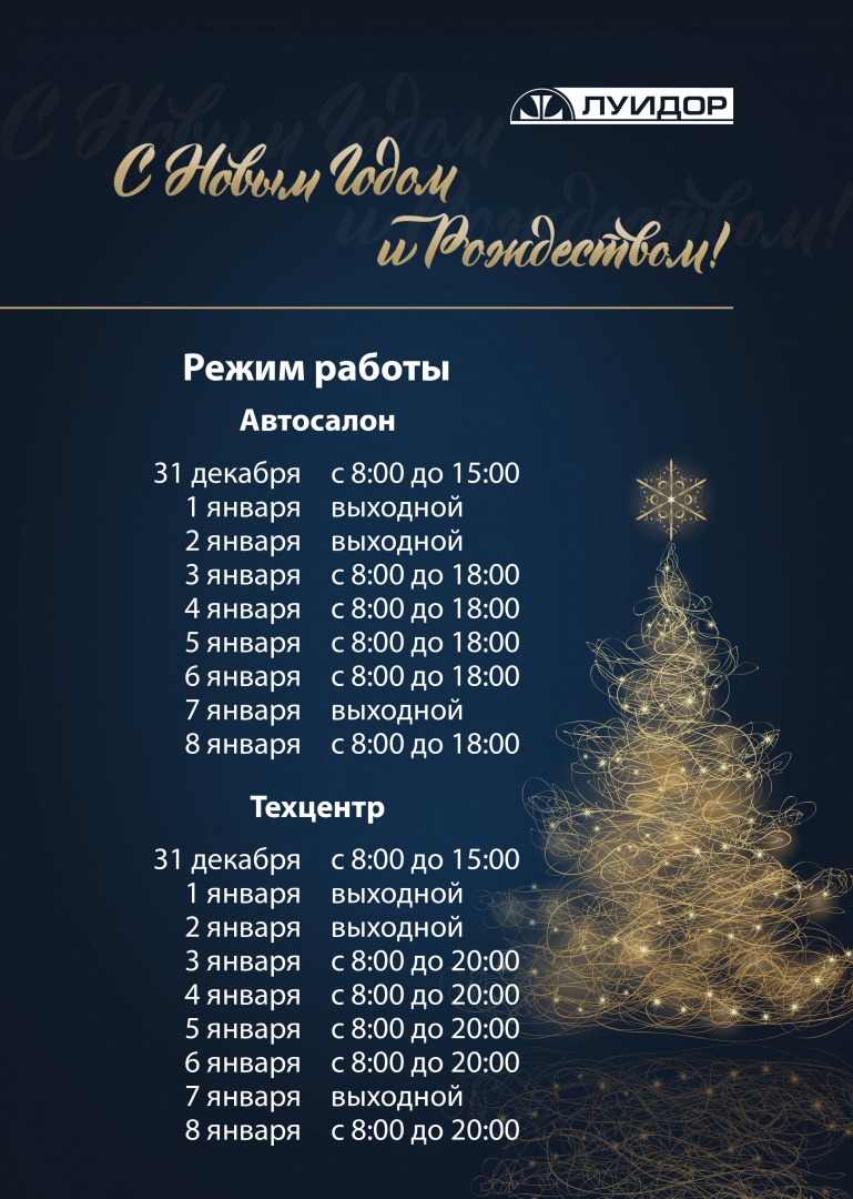 новогодний режимник Тамбов общий.jpg